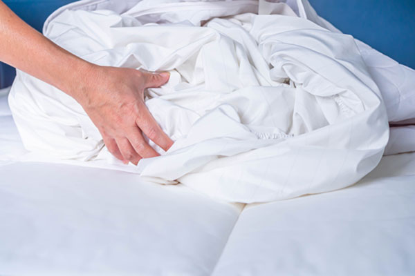 Getting rid of bed bugs yourself and bed bug prevention